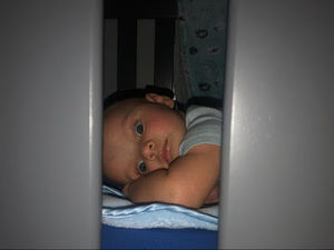 Meet your Posher, Taylor